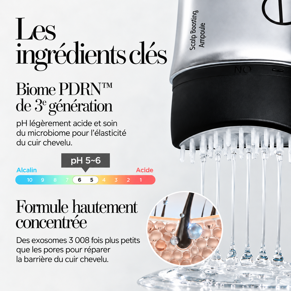 Ampoule Cuir Chevelu Fortifiante — 150 ml